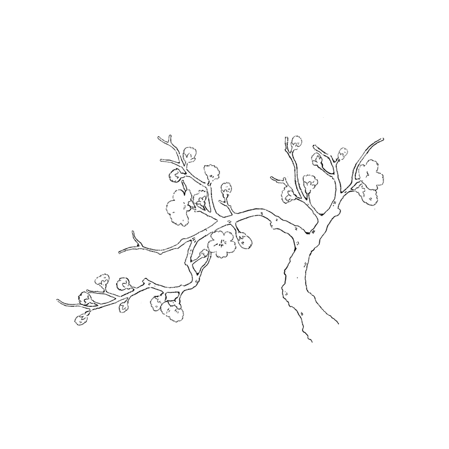 HANAMI
