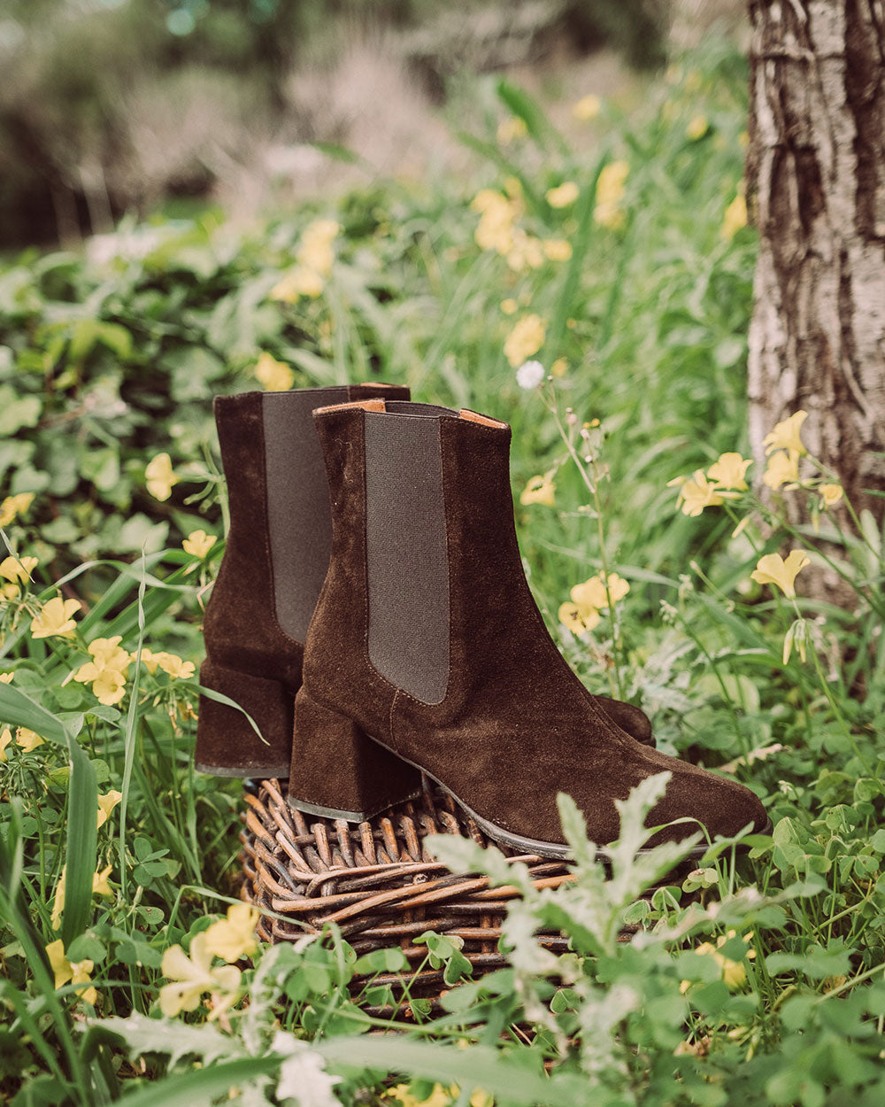 BOTÍN EIFFEL CHOCOLATE PREVENTA
