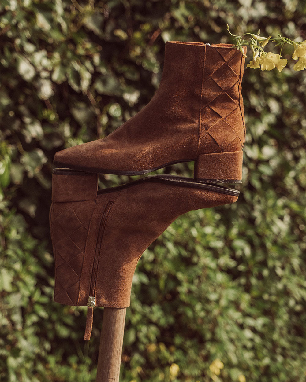 BOTÍN NOISETTE CAFÈ