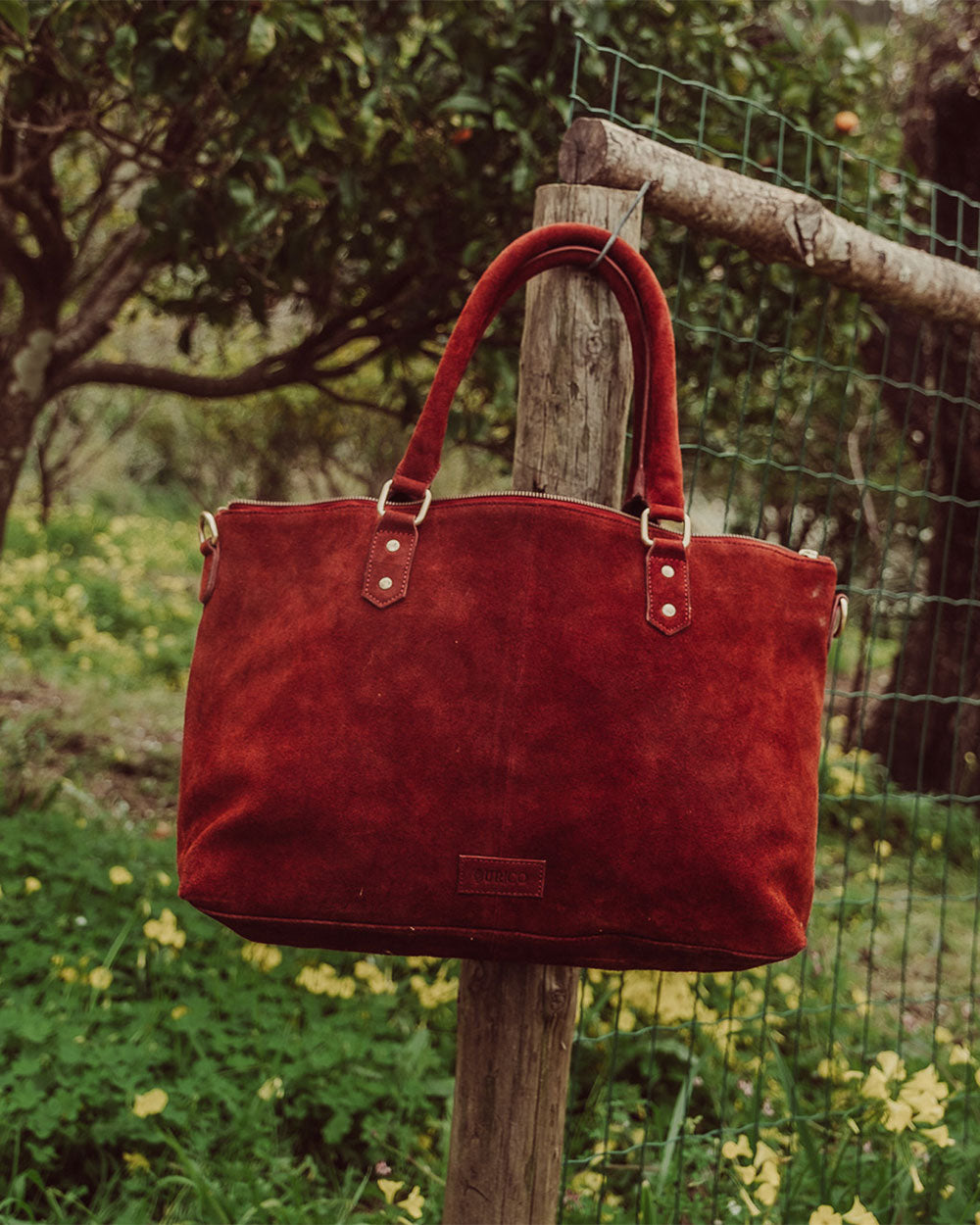 CARTERA OLIVIA BORGOÑA
