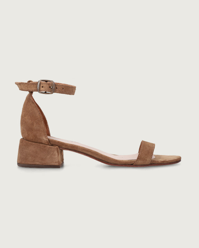 TACO PERGOLA CAMEL