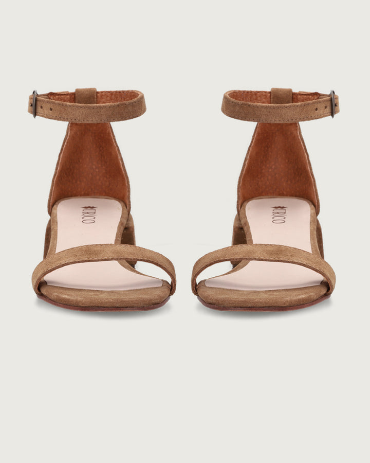 TACO PERGOLA CAMEL