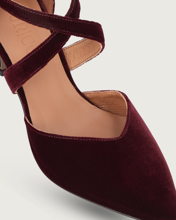 TACO PANTHEON BURGUNDY VELVET