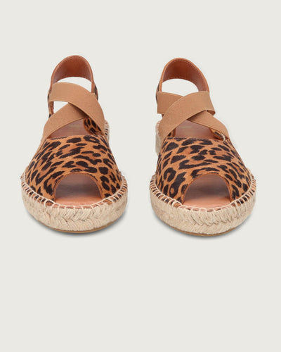 CIRA LEOPARDO