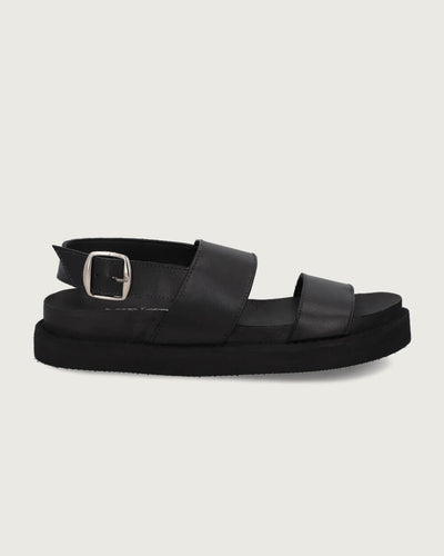 ARUBA BLACK