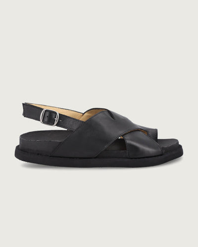 MADEIRA NEGRO