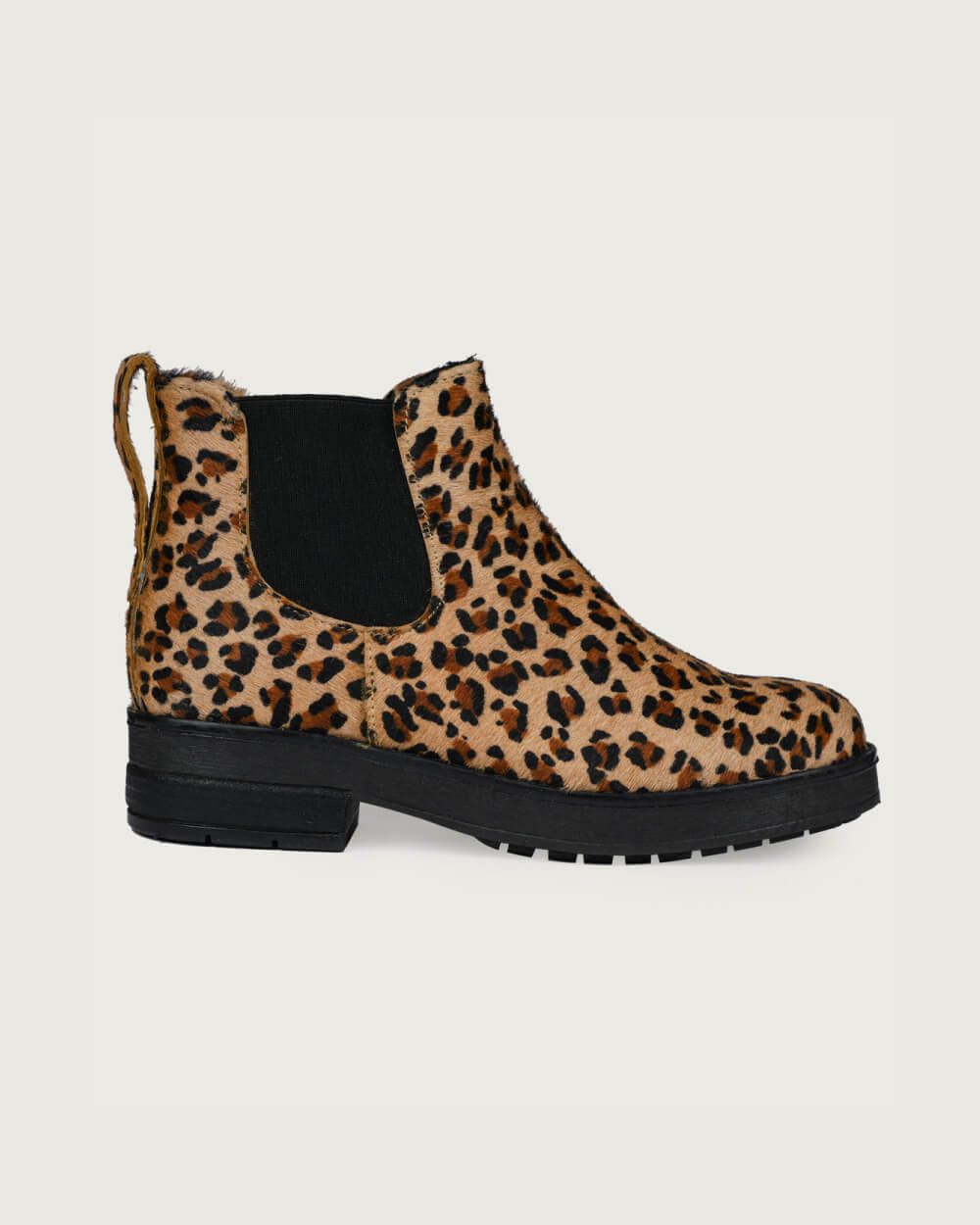 BEATLE ANIMAL PRINT